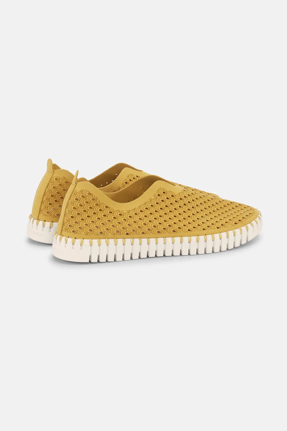Tulip Flat