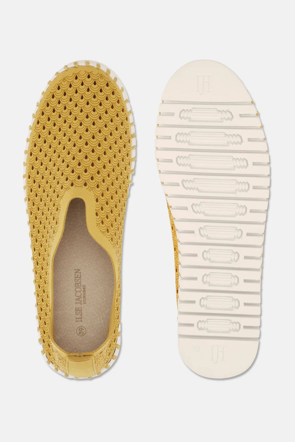 Tulip Flat
