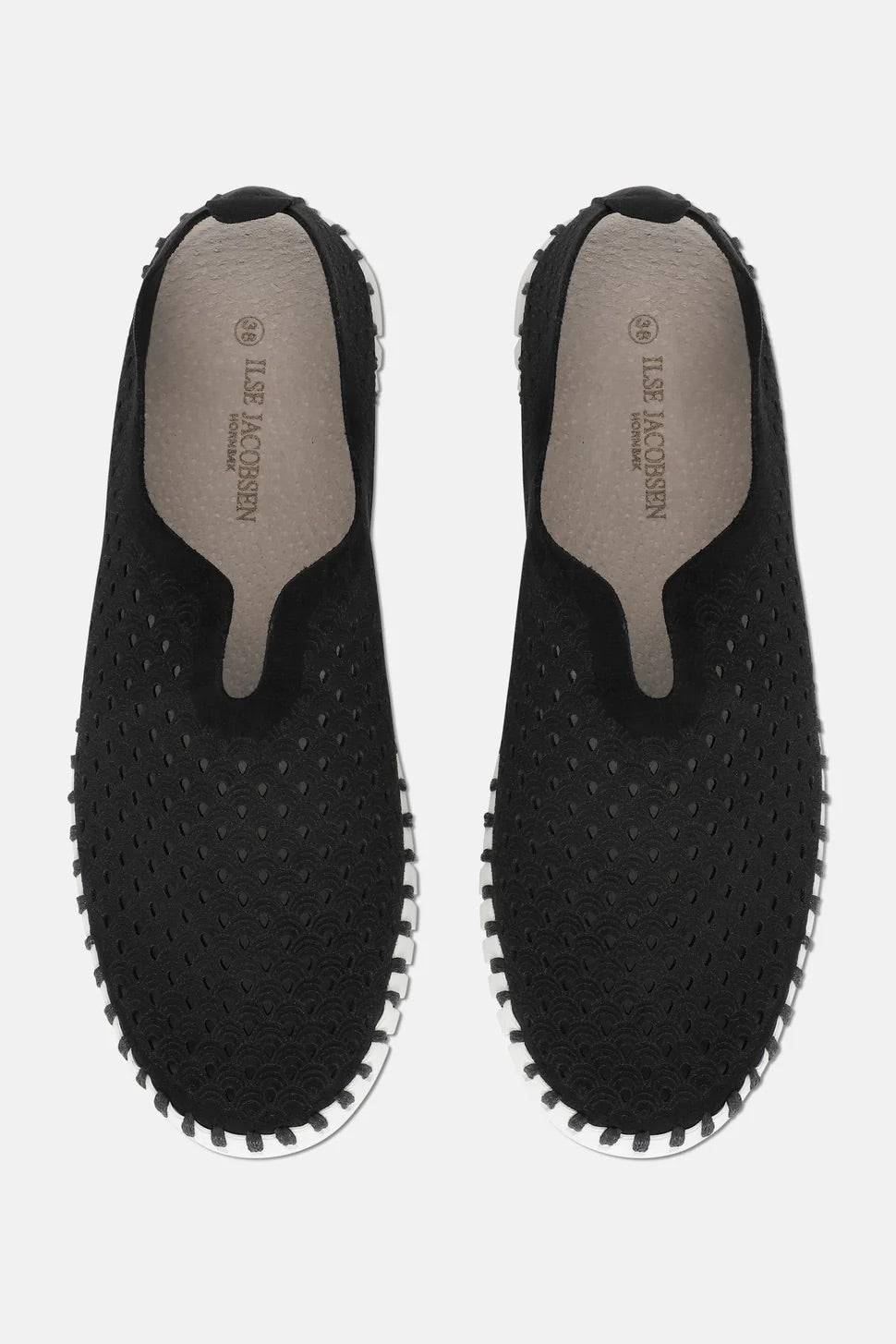Tulip Flat
