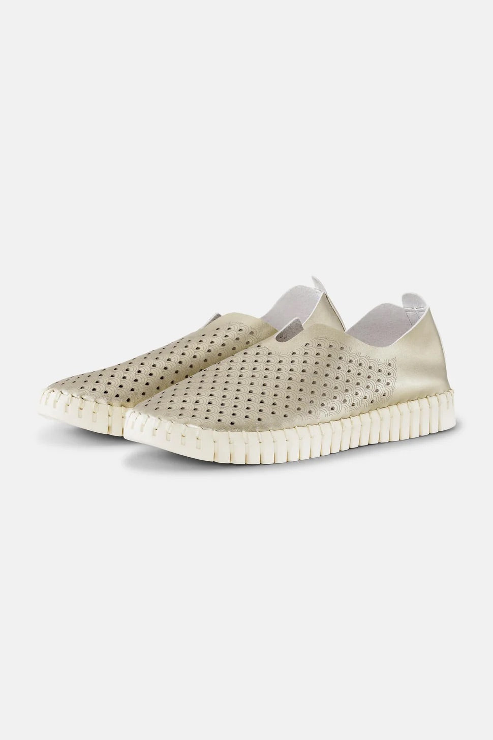 Tulip Flat