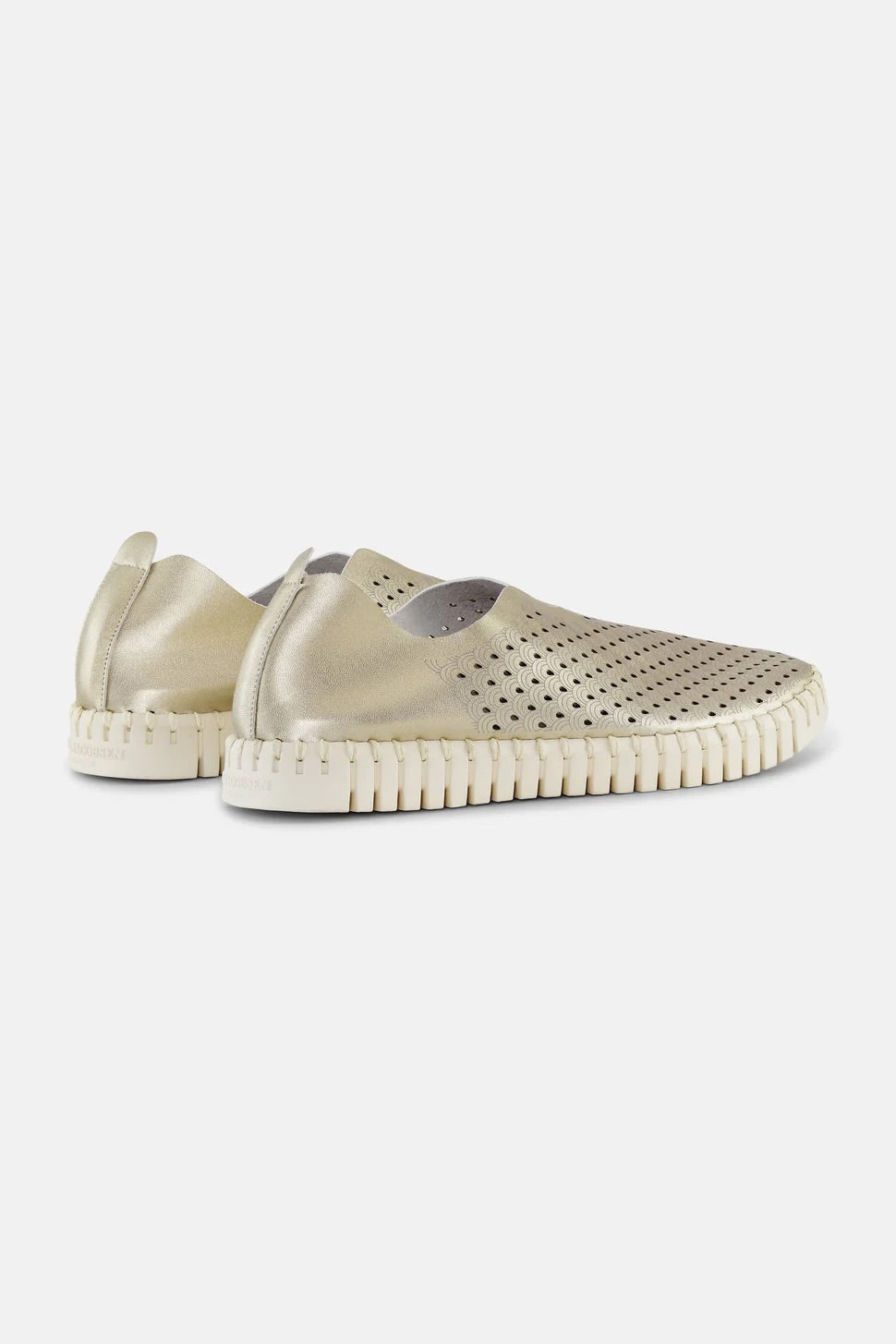 Tulip Flat