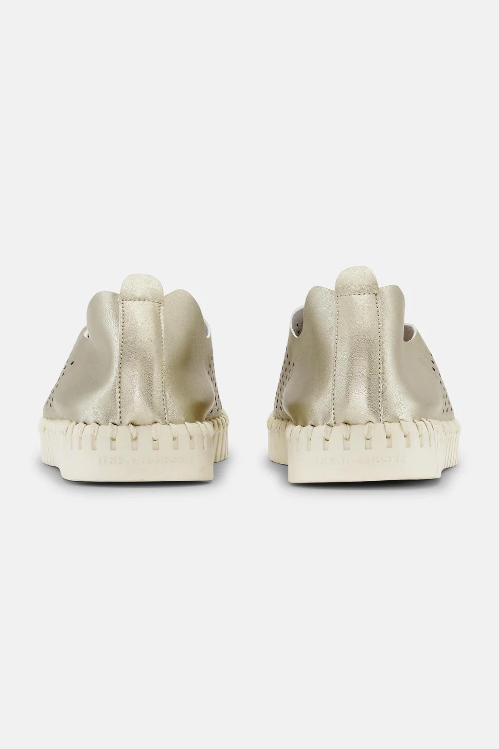 Tulip Flat