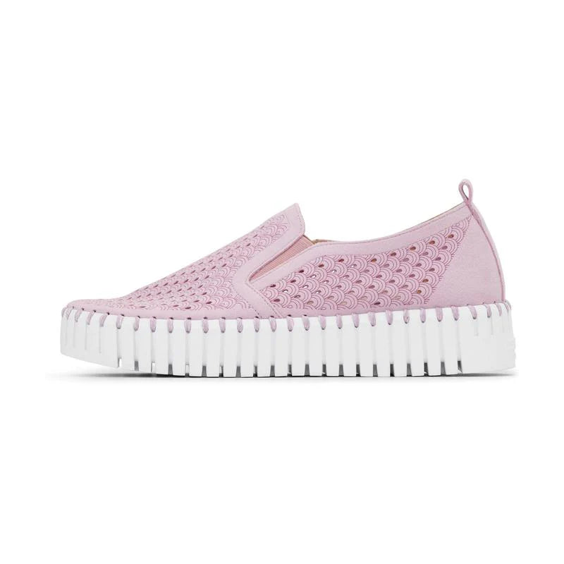 Platform Tulip Flat