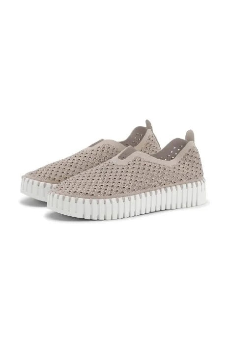 Platform Tulip Flat