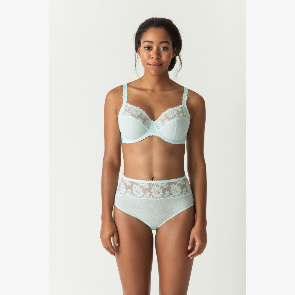 ALLEGRA BRIEF